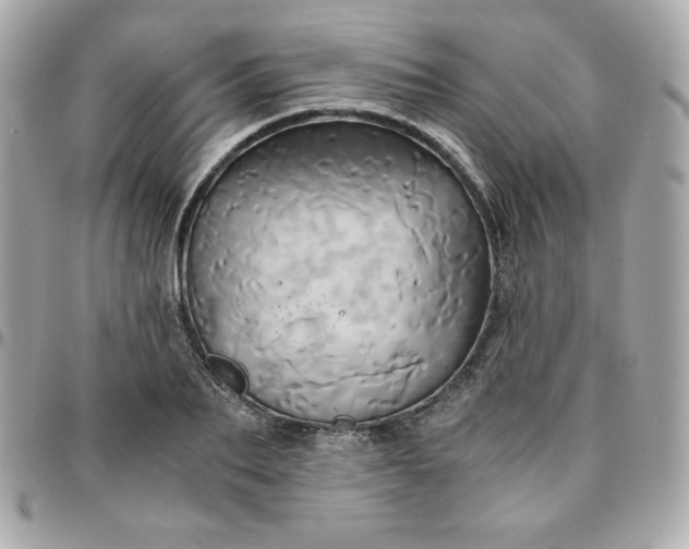 X0000096220887200802011341