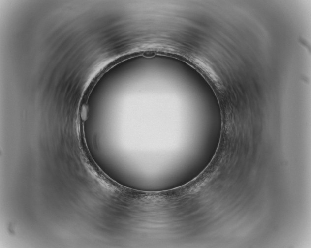 X0000096220888200802011340