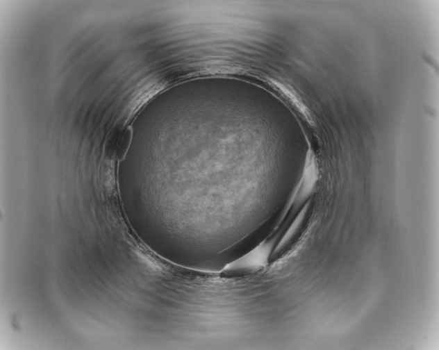 X0000096220889200802011340