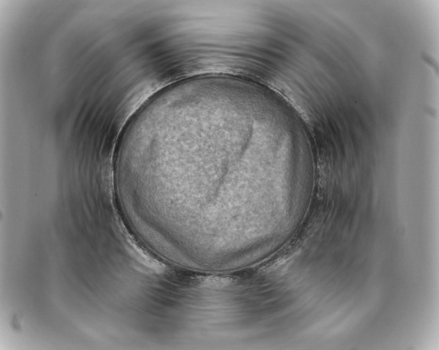 X0000096220890200802011340