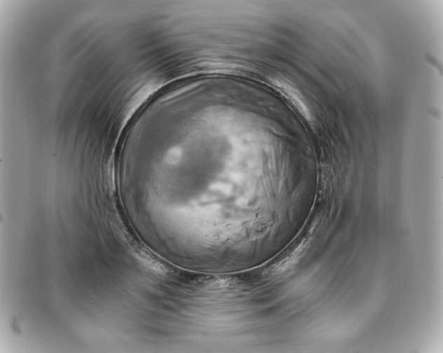 X0000096220891200802011340