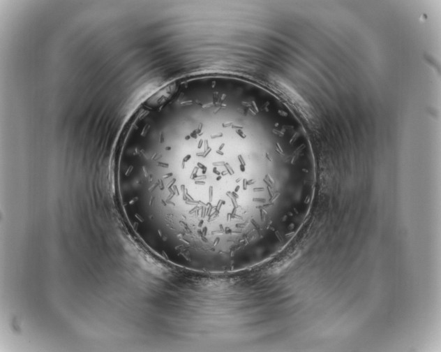 X0000096220892200802011340