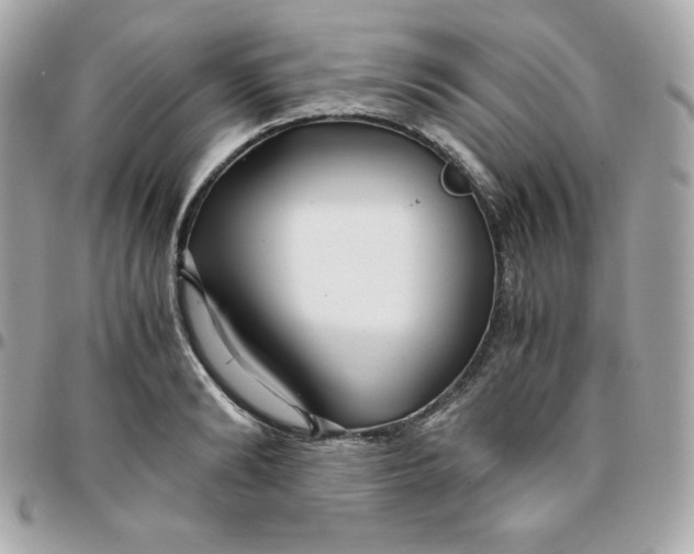 X0000096220894200802011340