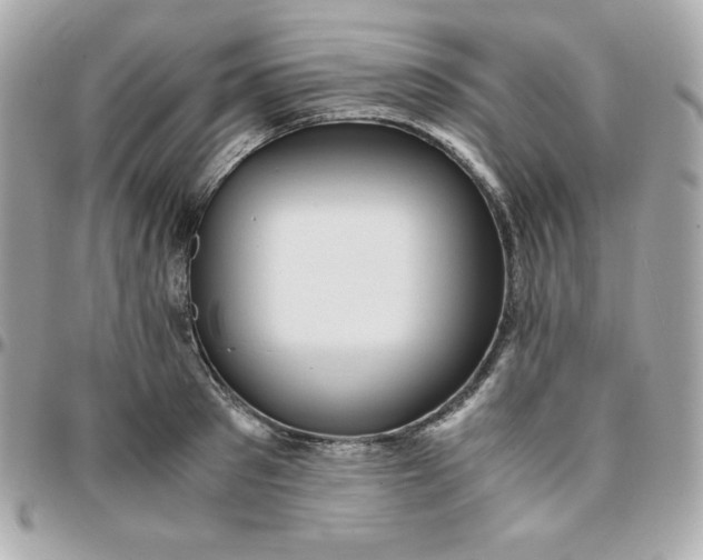 X0000096220897200802011340