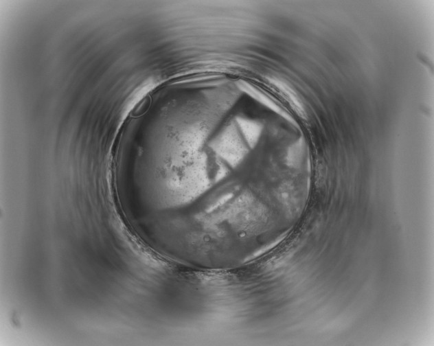 X0000096220899200802011340