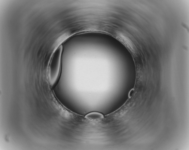 X0000096220900200802011340