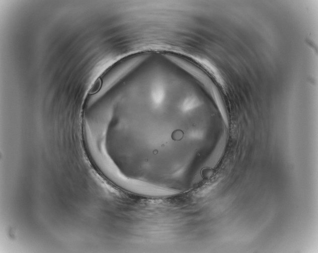 X0000096220903200802011340