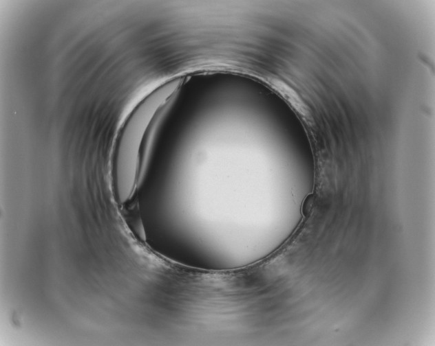 X0000096220904200802011340