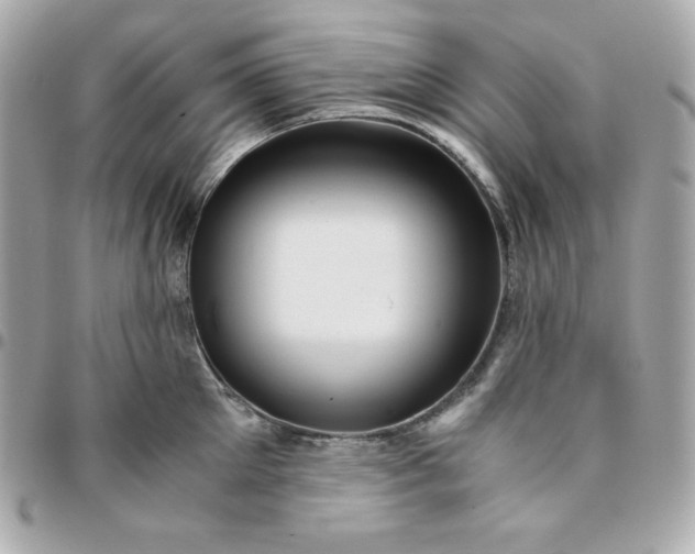 X0000096220905200802011340