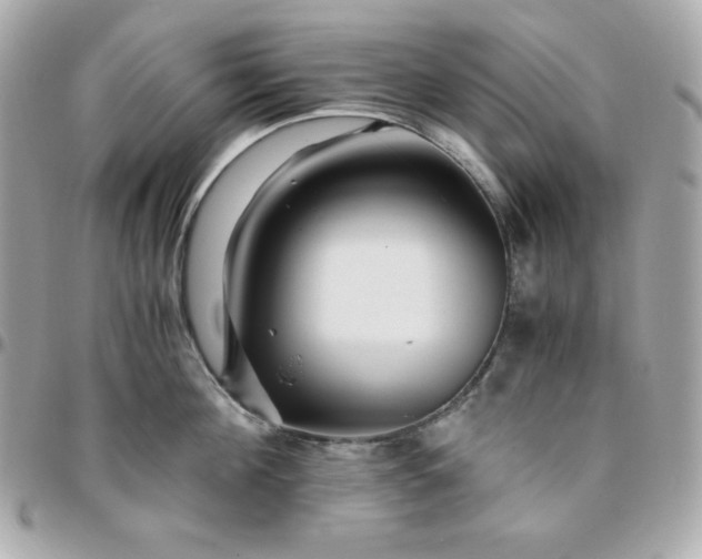 X0000096220908200802011340