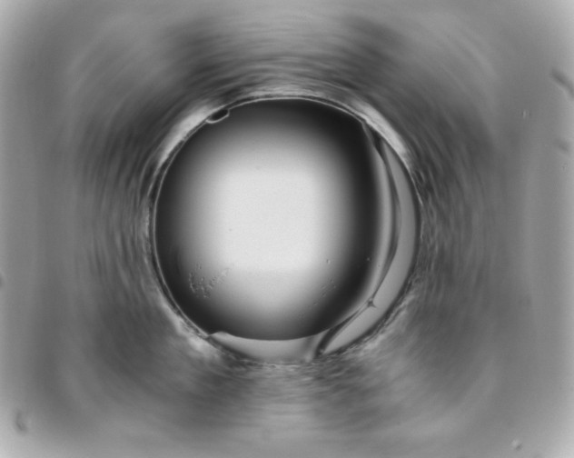 X0000096220909200802011340