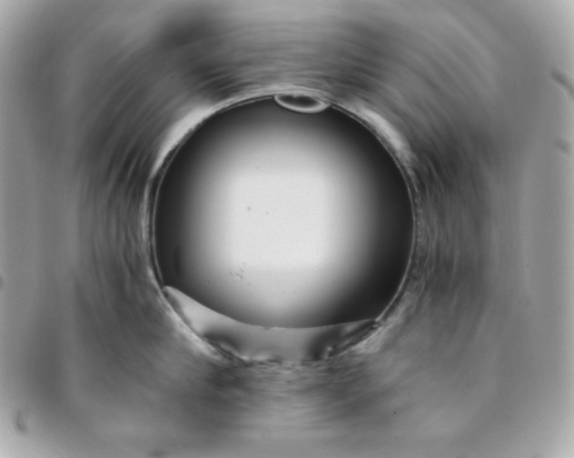 X0000096220910200802011340