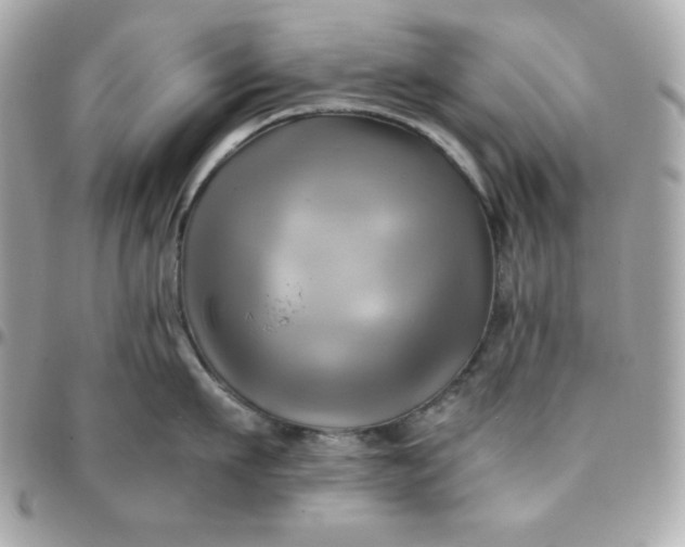 X0000096220911200802011340