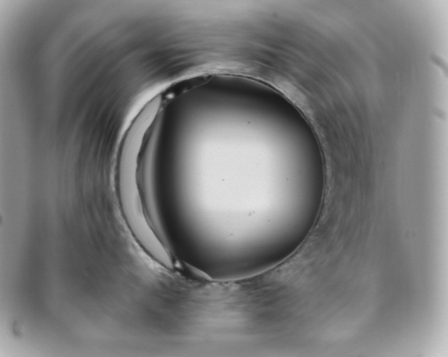 X0000096220912200802011340