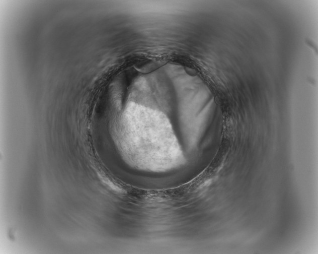 X0000096220913200802011339