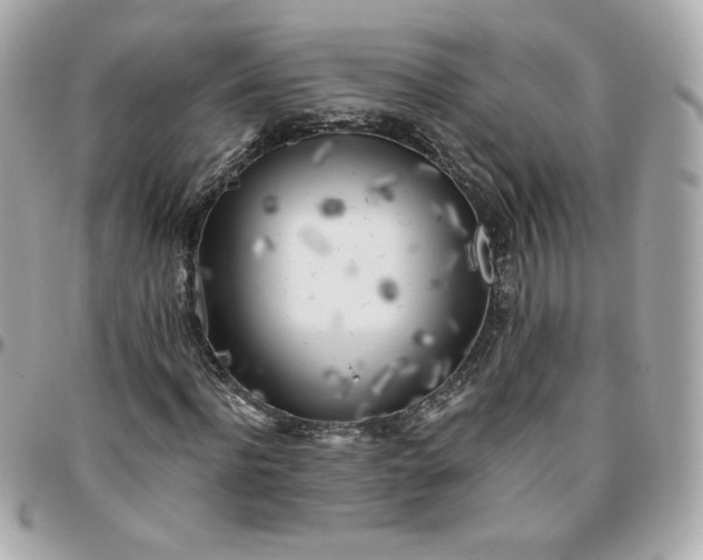 X0000096220916200802011339