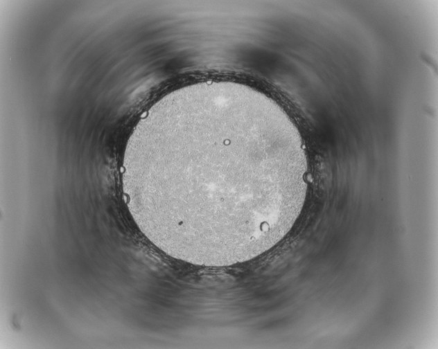 X0000096220918200802011340