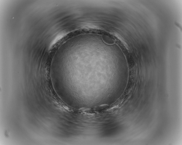 X0000096220919200802011340