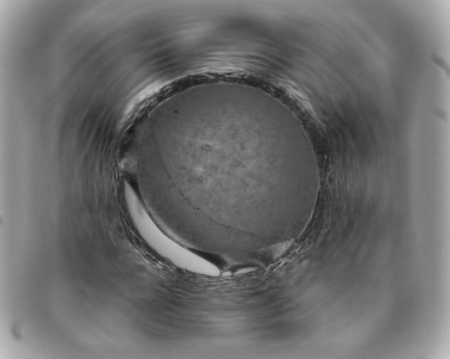 X0000096220920200802011340