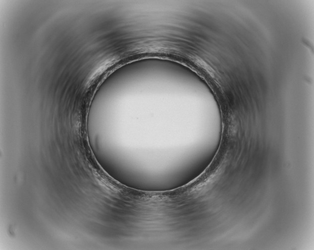 X0000096220922200802011340