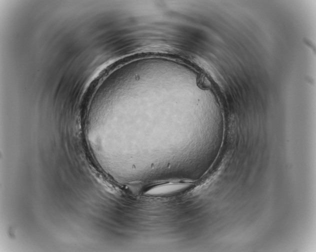 X0000096220923200802011340