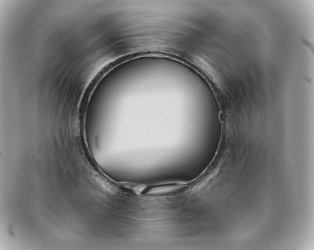 X0000096220924200802011340