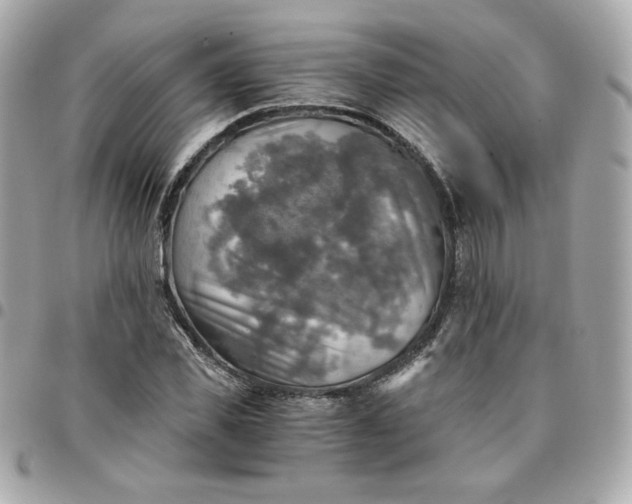 X0000096220925200802011340