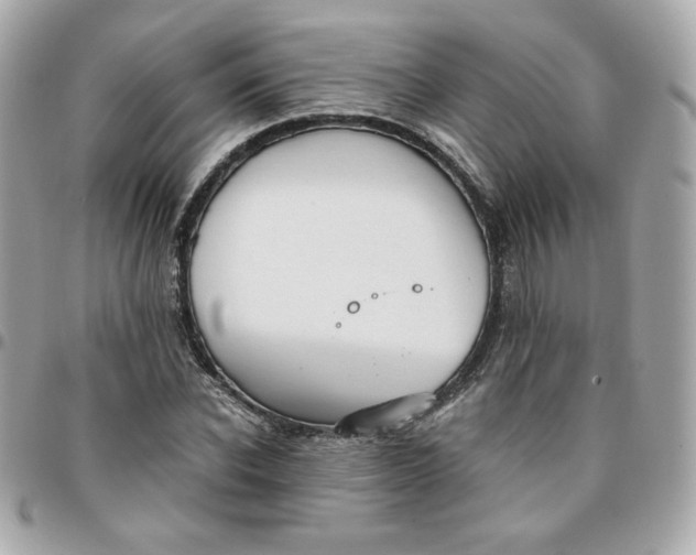 X0000096220926200802011340