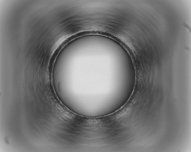 X0000096220927200802011340