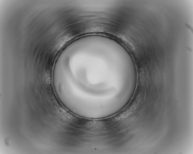 X0000096220929200802011340