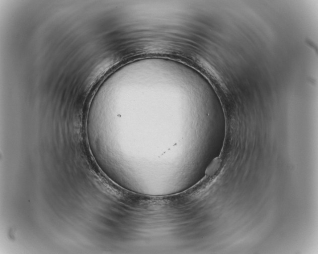 X0000096220930200802011340