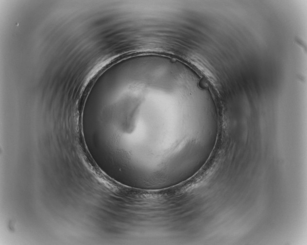 X0000096220933200802011340