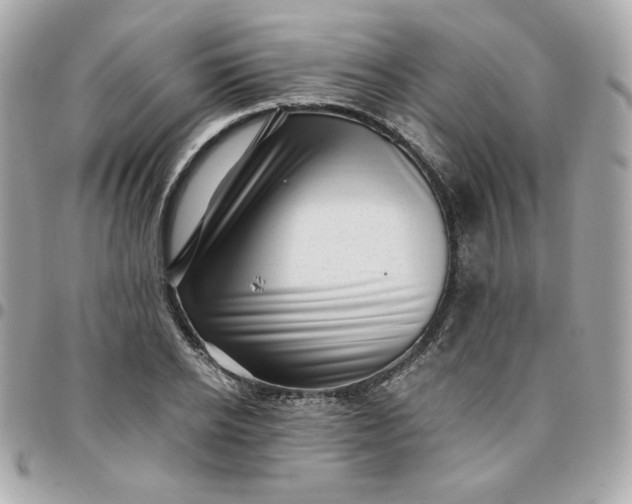 X0000096220934200802011340