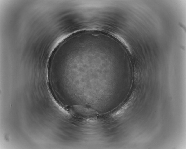 X0000096220935200802011340