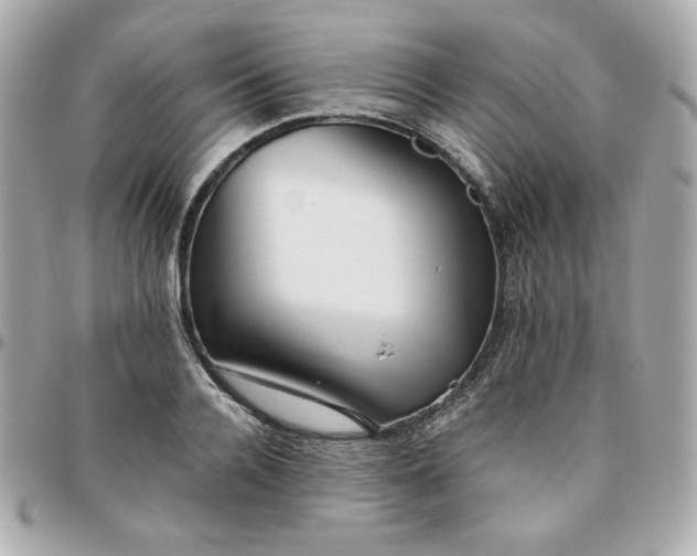 X0000096220936200802011340