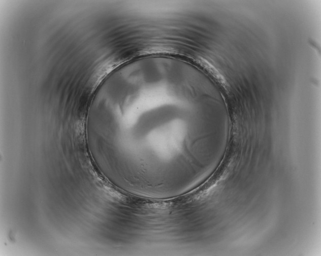 X0000096220937200802011340