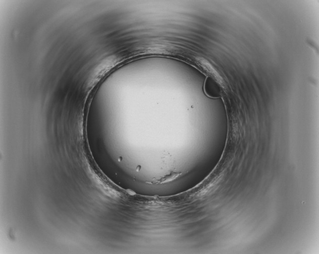 X0000096220938200802011340