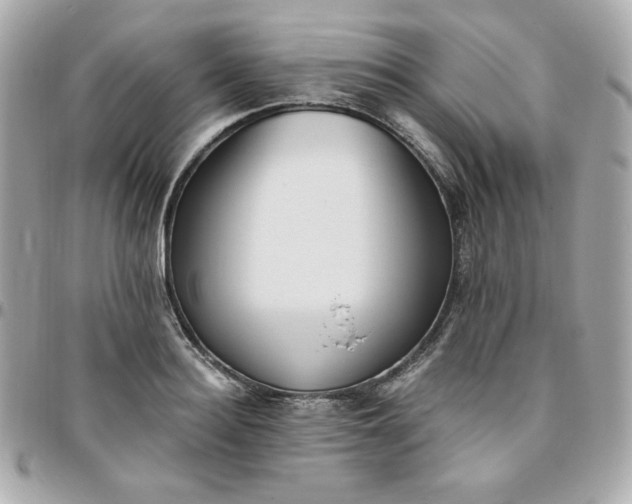 X0000096220940200802011340