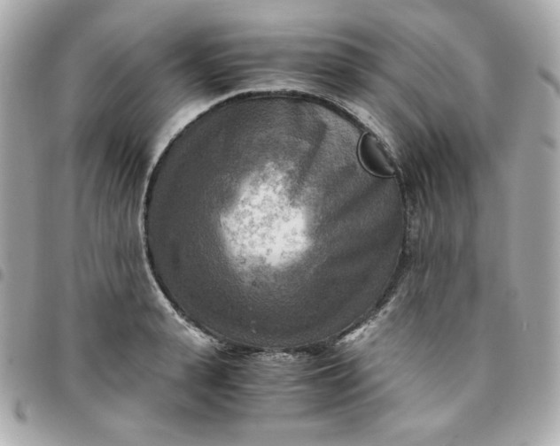 X0000096220943200802011340