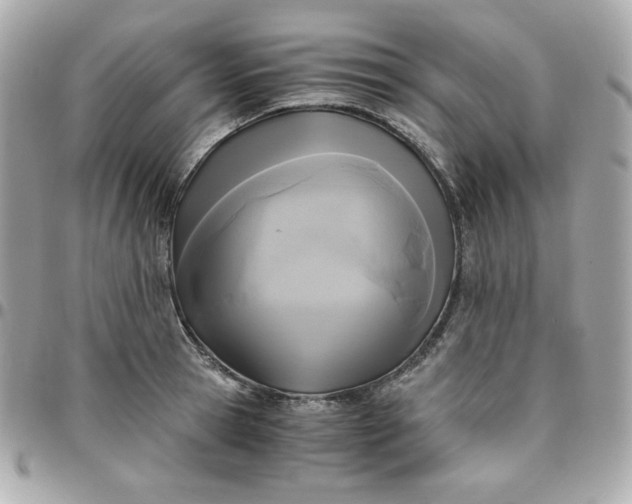 X0000096220945200802011340