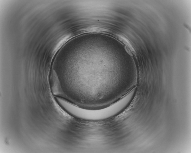 X0000096220946200802011340