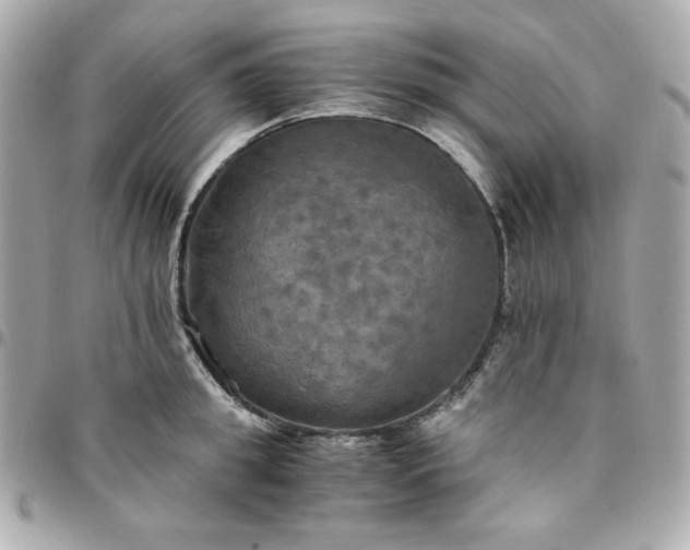 X0000096220949200802011340