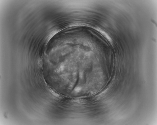 X0000096220953200802011340