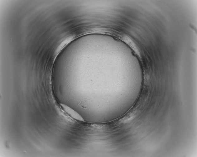 X0000096220954200802011340