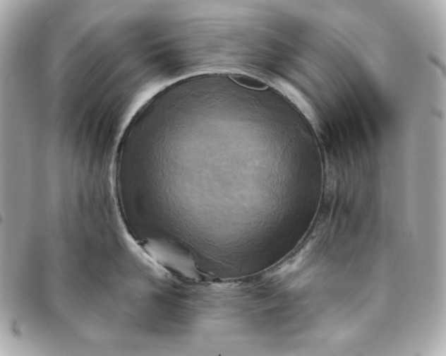 X0000096220958200802011340