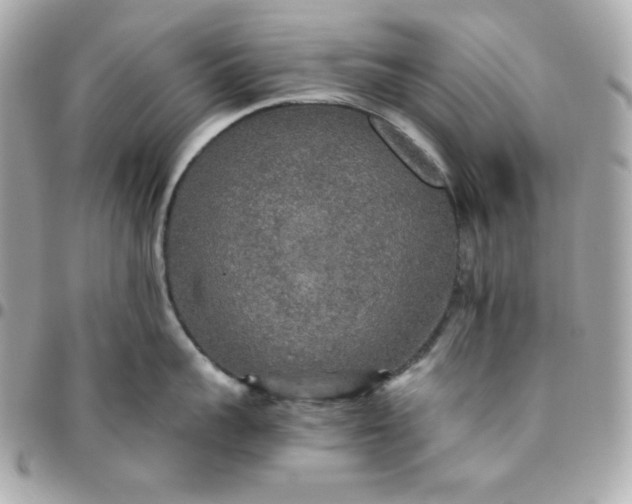 X0000096220959200802011340