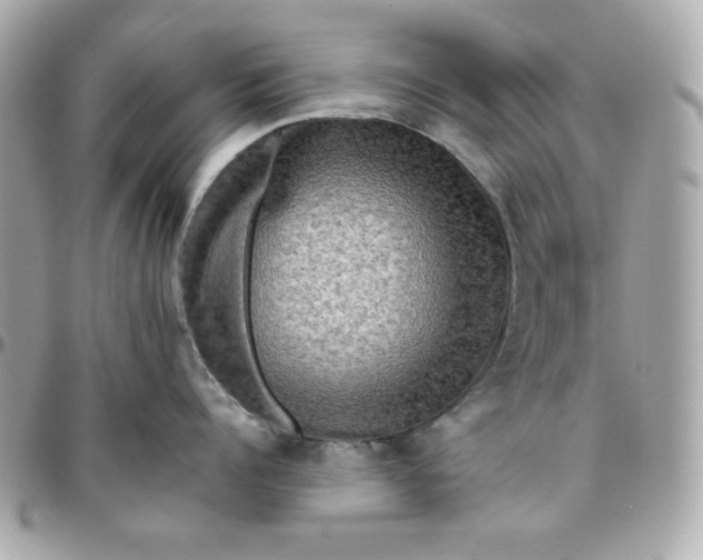 X0000096220960200802011340