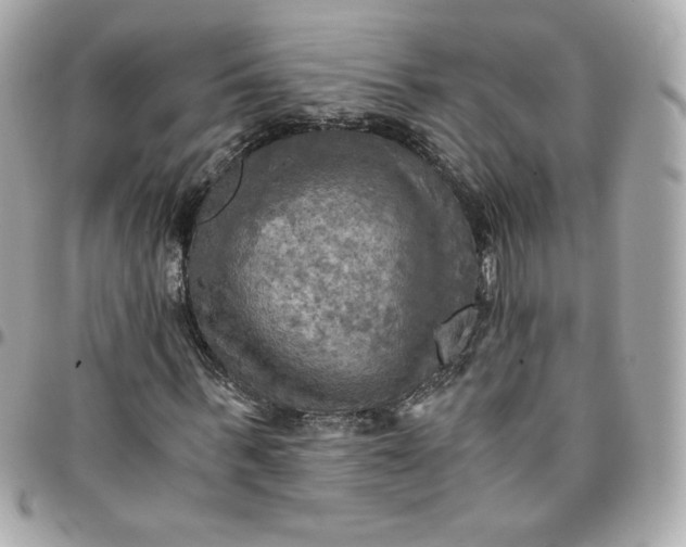 X0000096220963200802011339