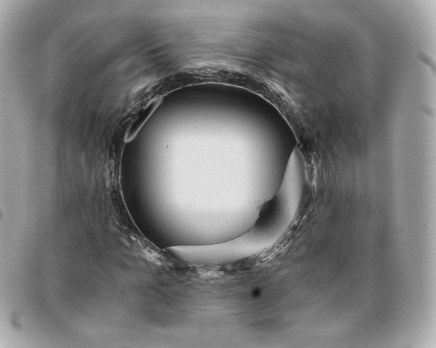 X0000096220965200802011339