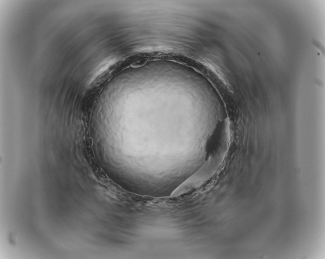 X0000096220967200802011339